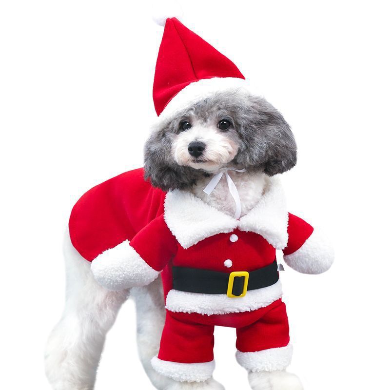 Adorable Pet Christmas Costume - Man's Best Furr